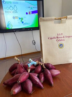 CNR-ISPA meets with Italian onion producers